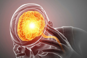 Mental Health vs. Mental Illness: What’s the Difference?