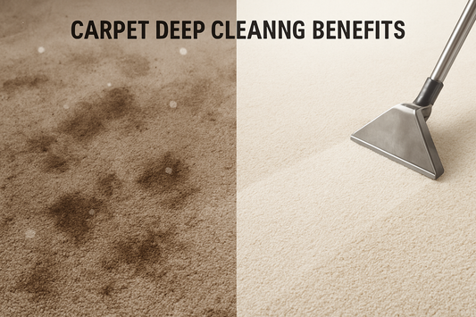 Why You Should Deep Clean Your Carpet Twice a Year