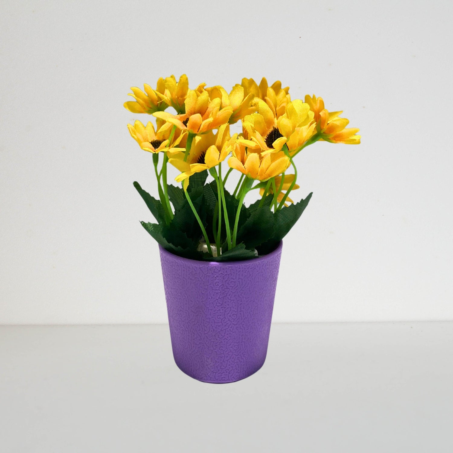 Decoration Plants & Vase