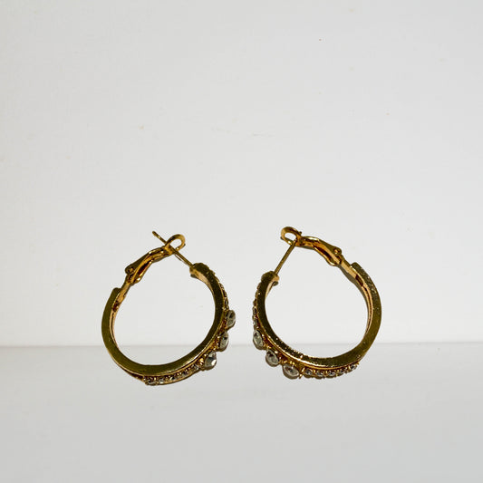 Fancy Crystal Edge Earrings